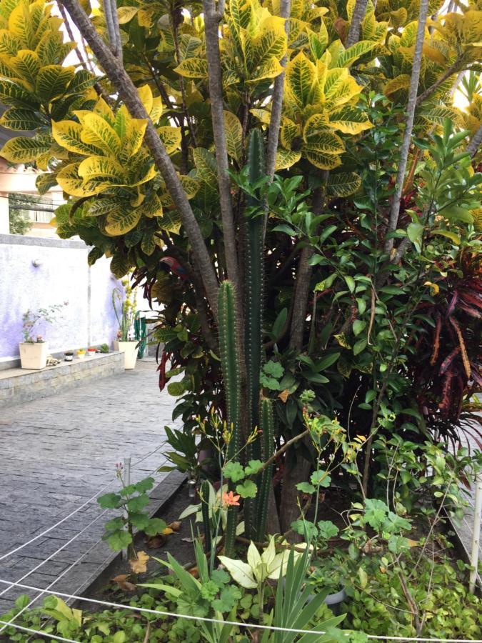 Casa Aconchegante Em Vila Valqueire リオデジャネイロ エクステリア 写真